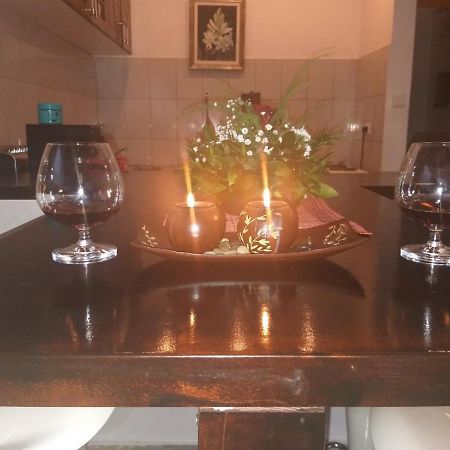 דירות Vrnjačka Banja Apartman Nv מראה חיצוני תמונה