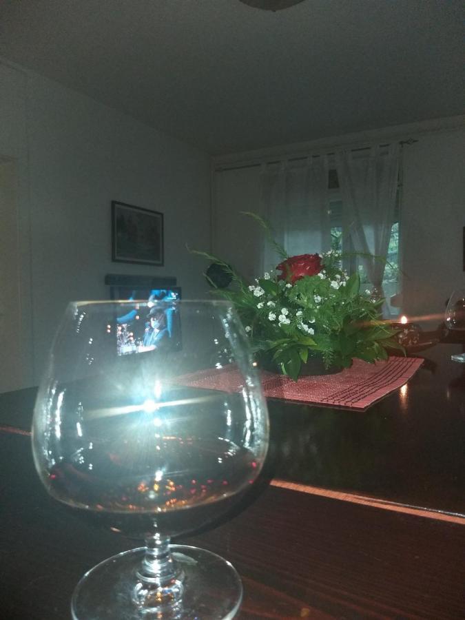 דירות Vrnjačka Banja Apartman Nv מראה חיצוני תמונה