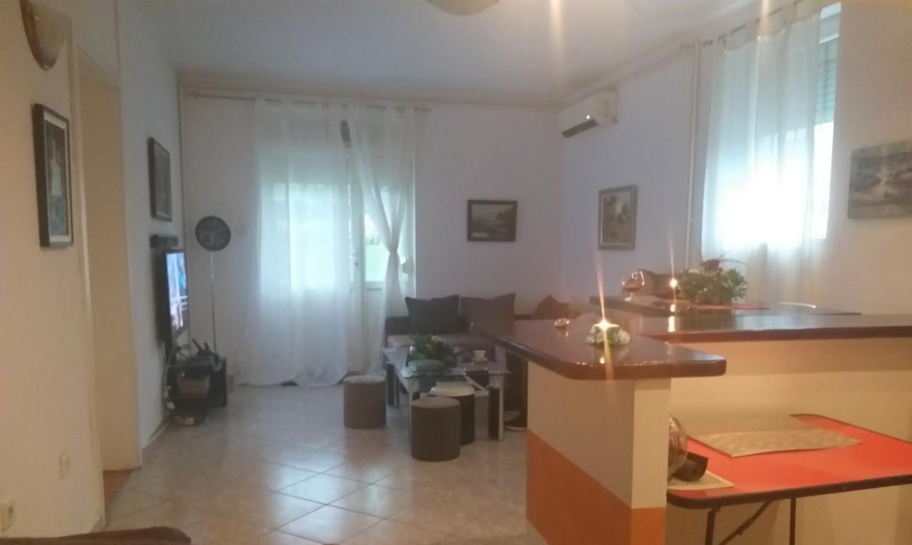 דירות Vrnjačka Banja Apartman Nv מראה חיצוני תמונה