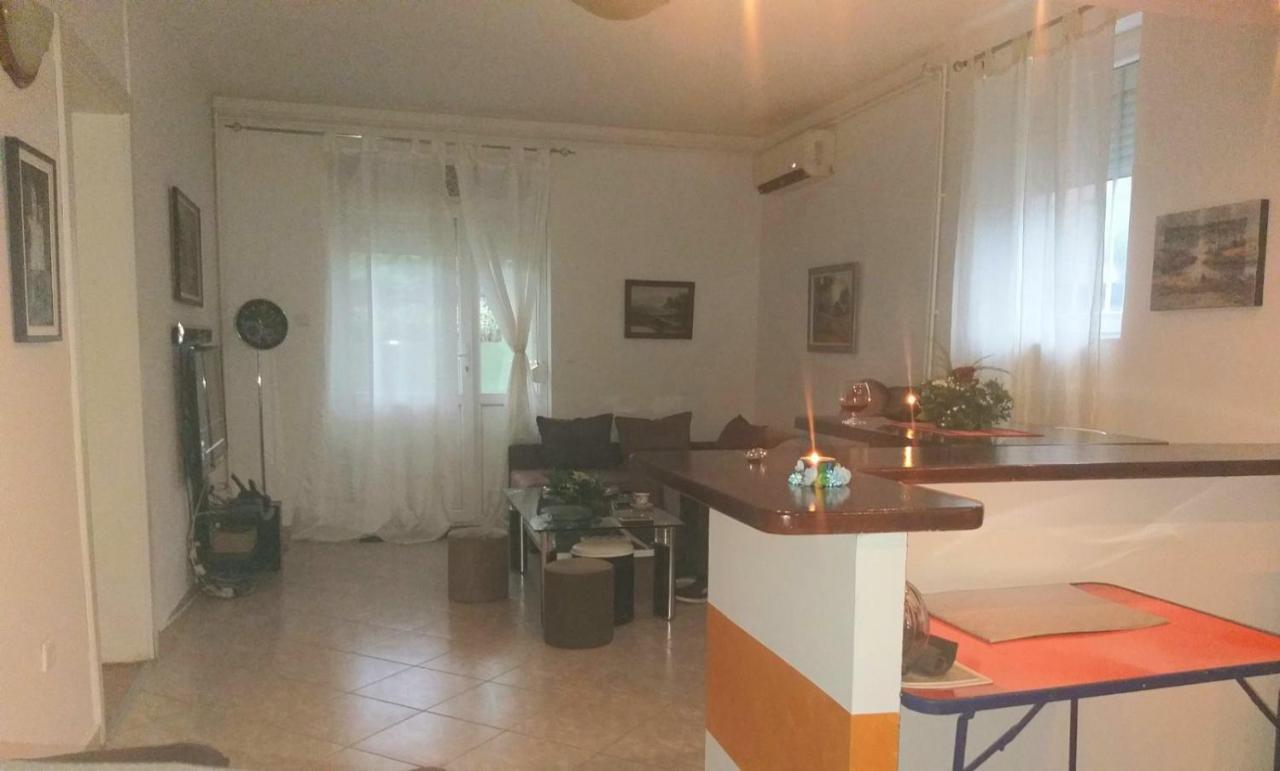 דירות Vrnjačka Banja Apartman Nv מראה חיצוני תמונה