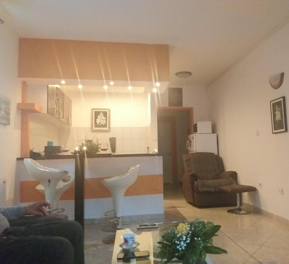 דירות Vrnjačka Banja Apartman Nv מראה חיצוני תמונה