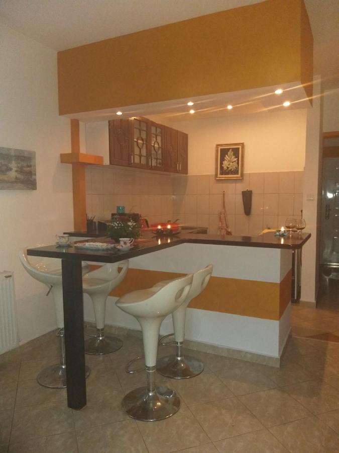דירות Vrnjačka Banja Apartman Nv מראה חיצוני תמונה