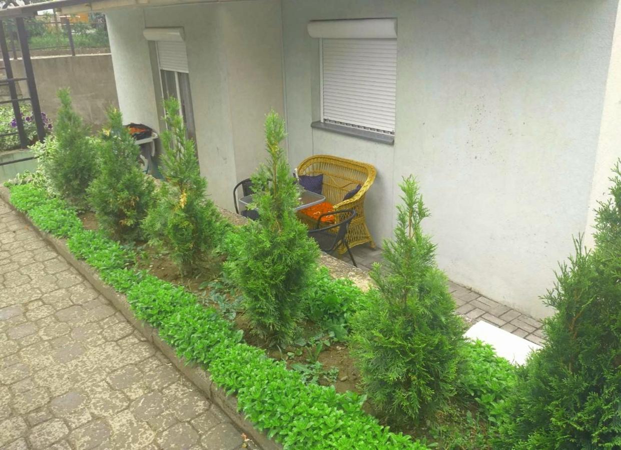דירות Vrnjačka Banja Apartman Nv מראה חיצוני תמונה