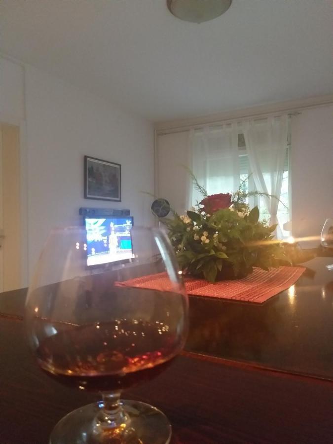 דירות Vrnjačka Banja Apartman Nv מראה חיצוני תמונה