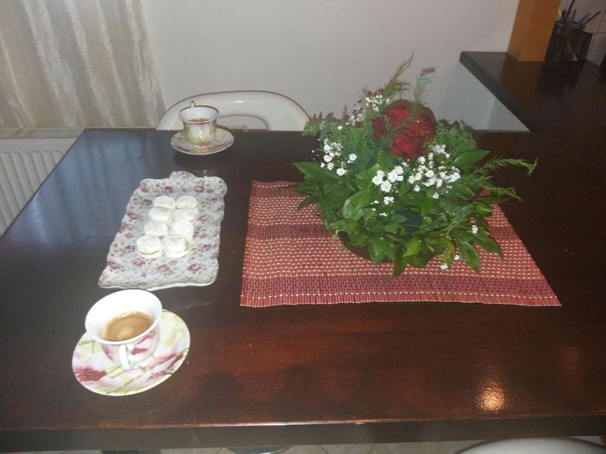 דירות Vrnjačka Banja Apartman Nv מראה חיצוני תמונה