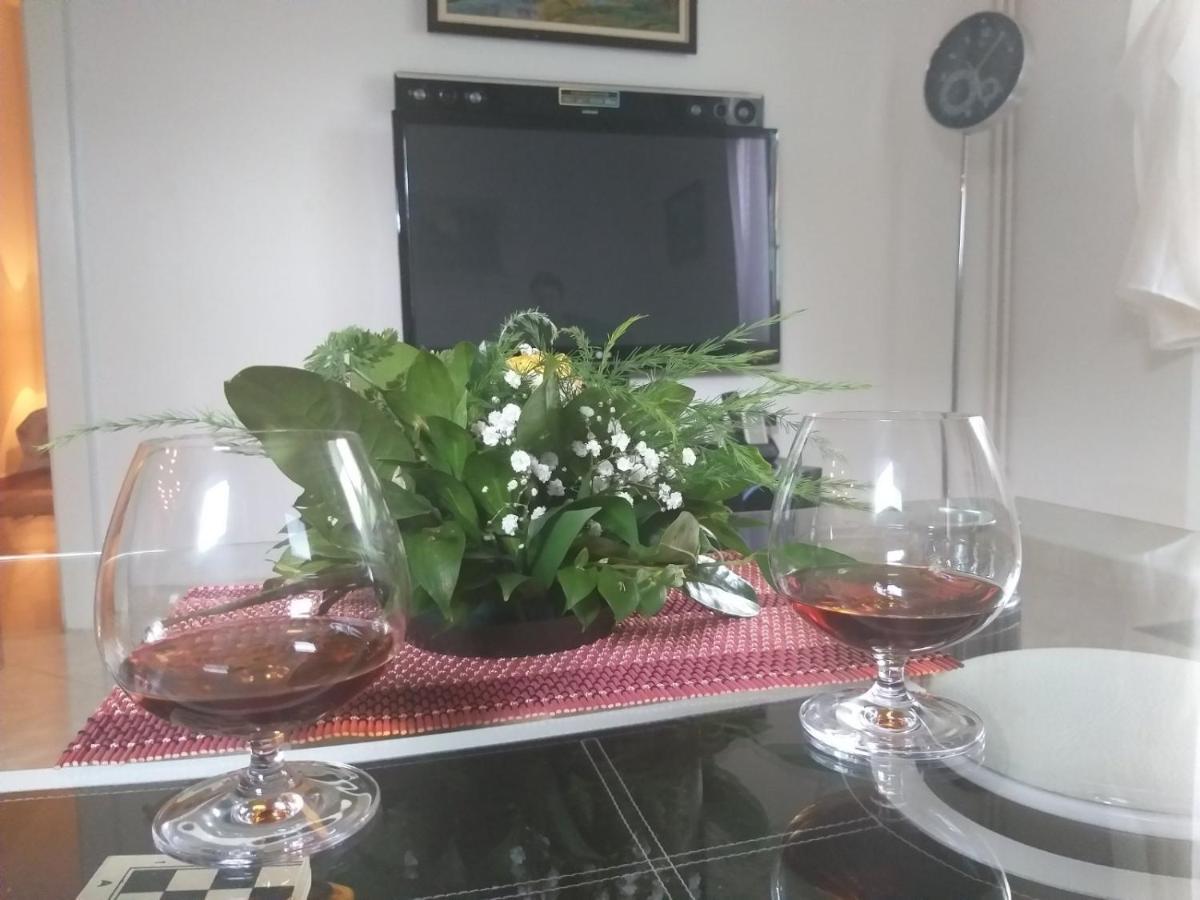 דירות Vrnjačka Banja Apartman Nv מראה חיצוני תמונה